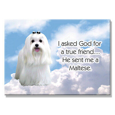 MALTESE True Friend From God FRIDGE MAGNET New DOG