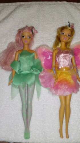 Lot Of 2 Rare Barbie 2004 Fairytopia Dolls Dehlia And Elina